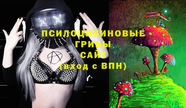 МДПВ Сосновоборск
