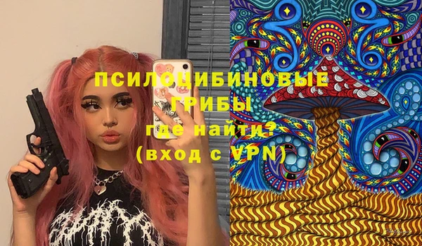 твердый Вязники