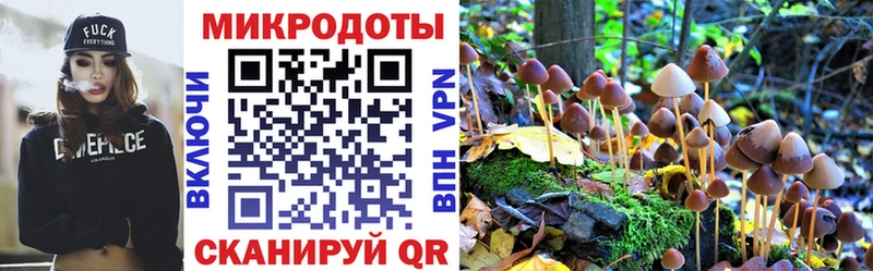 Псилоцибиновые грибы GOLDEN TEACHER  Донецк 
